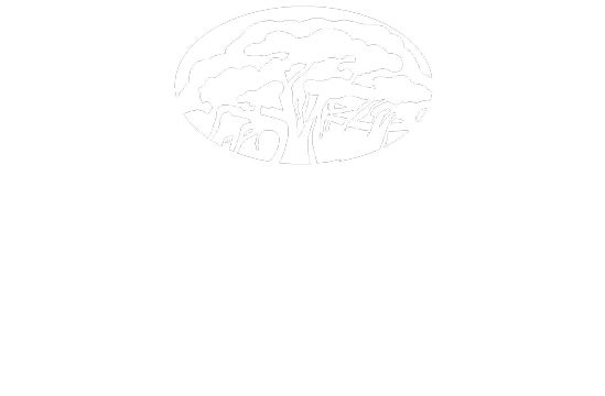 Venues at the Riverfront Park